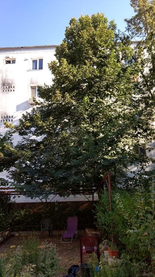 Casa Cu Tei Apartment Cluj-Napoca Exterior photo